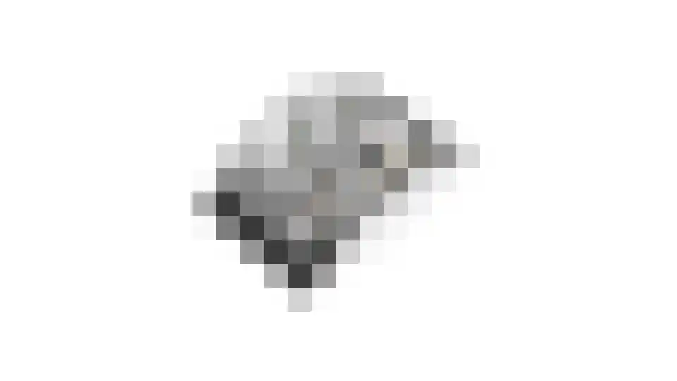 Gageldonk 24 Udenhout thumbnail 66