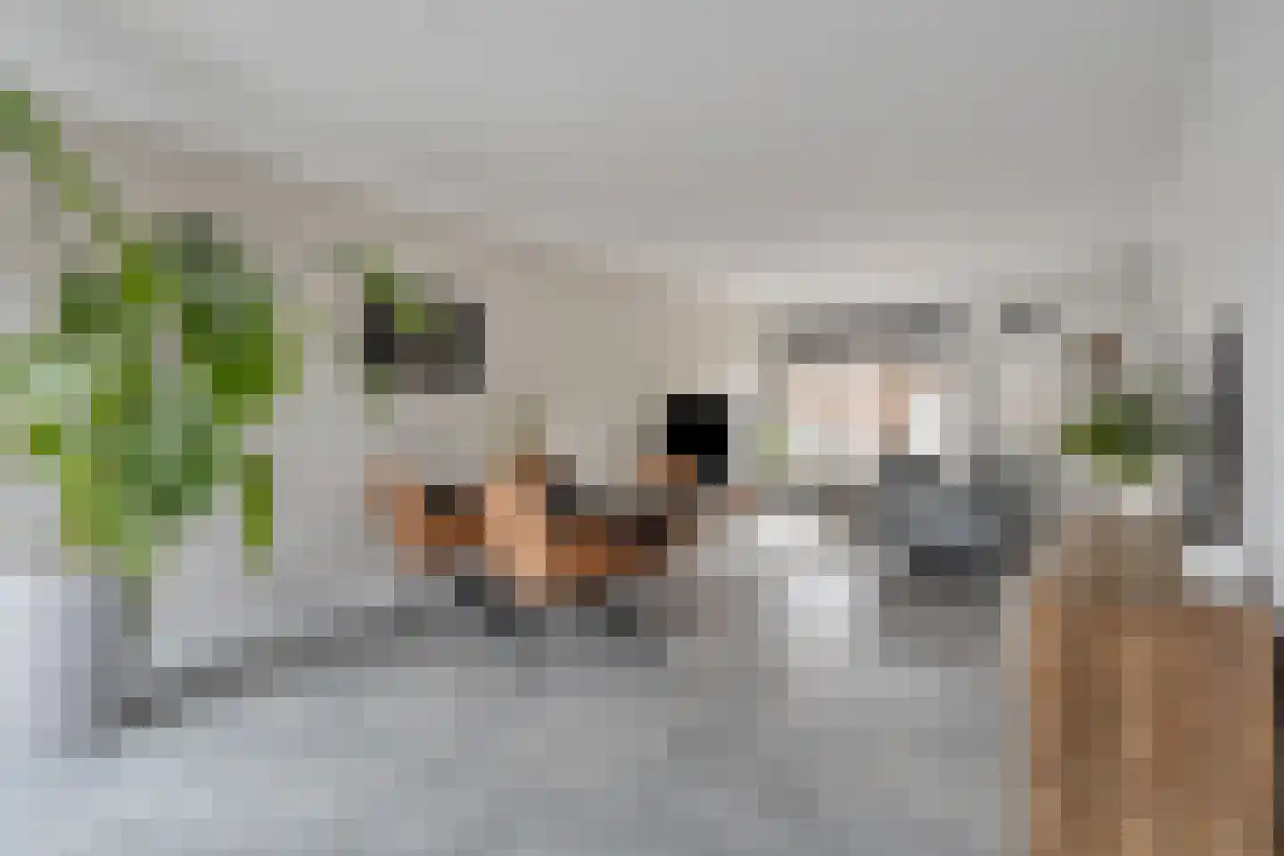 Gageldonk 28 's-Hertogenbosch thumbnail 13