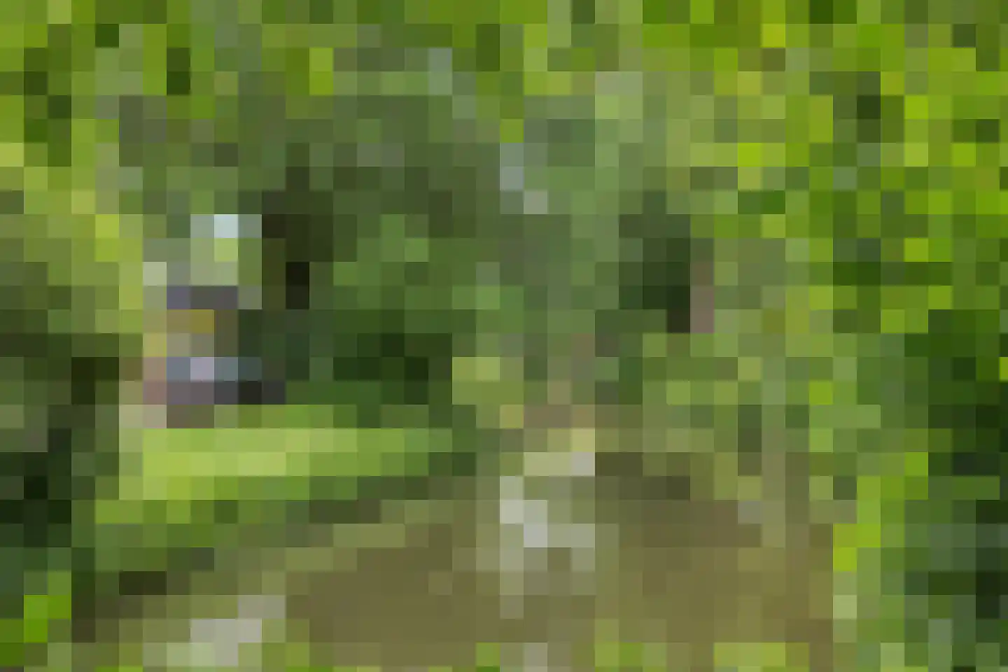 Gageldonk 28 's-Hertogenbosch thumbnail 35