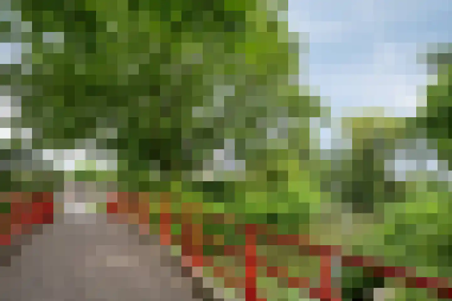 Gageldonk 28 's-Hertogenbosch thumbnail 36