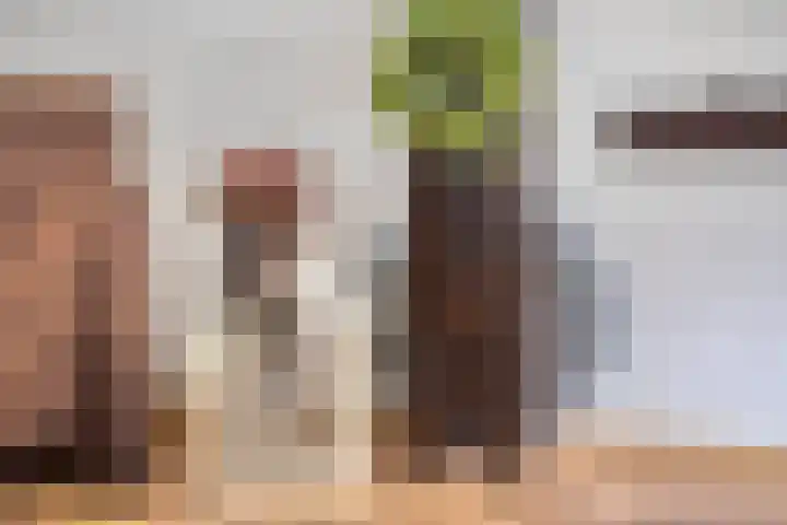 Gageldonk 32 's-Hertogenbosch thumbnail 12