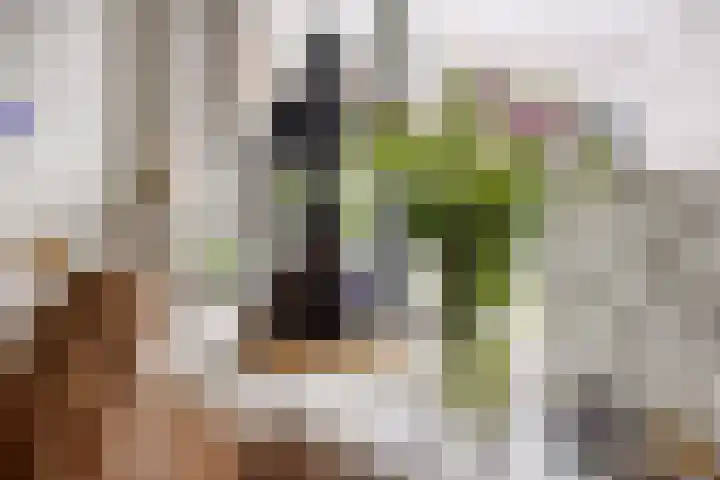 Gageldonk 32 's-Hertogenbosch thumbnail 13