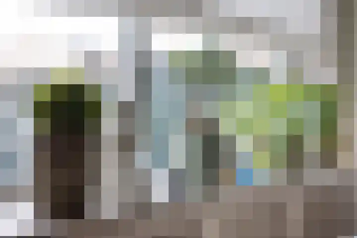 Gageldonk 32 's-Hertogenbosch thumbnail 8