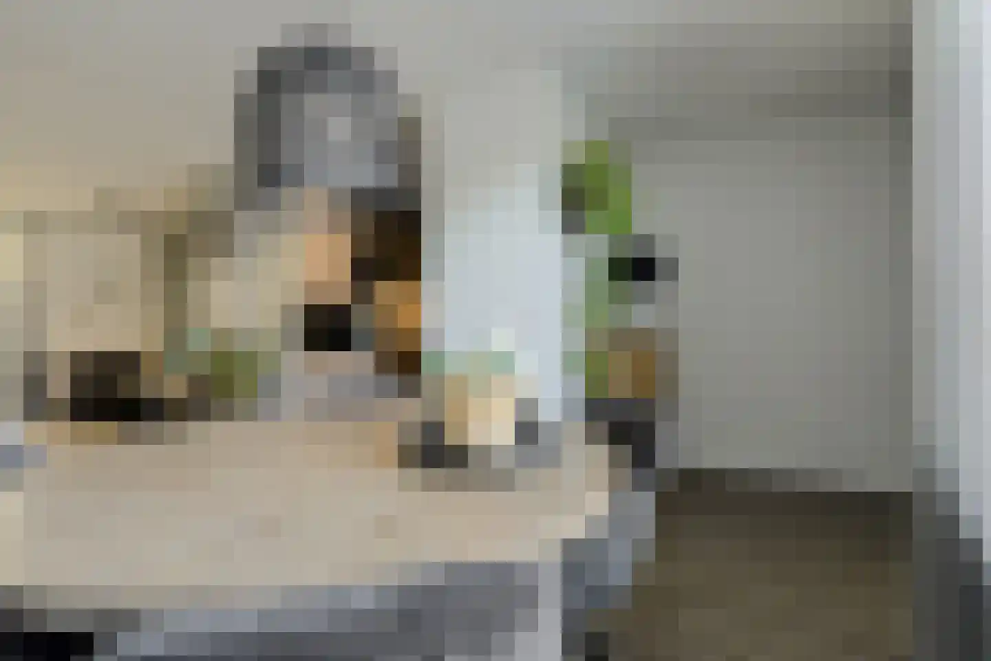 Gageldonk 5 Oosterhout thumbnail 11