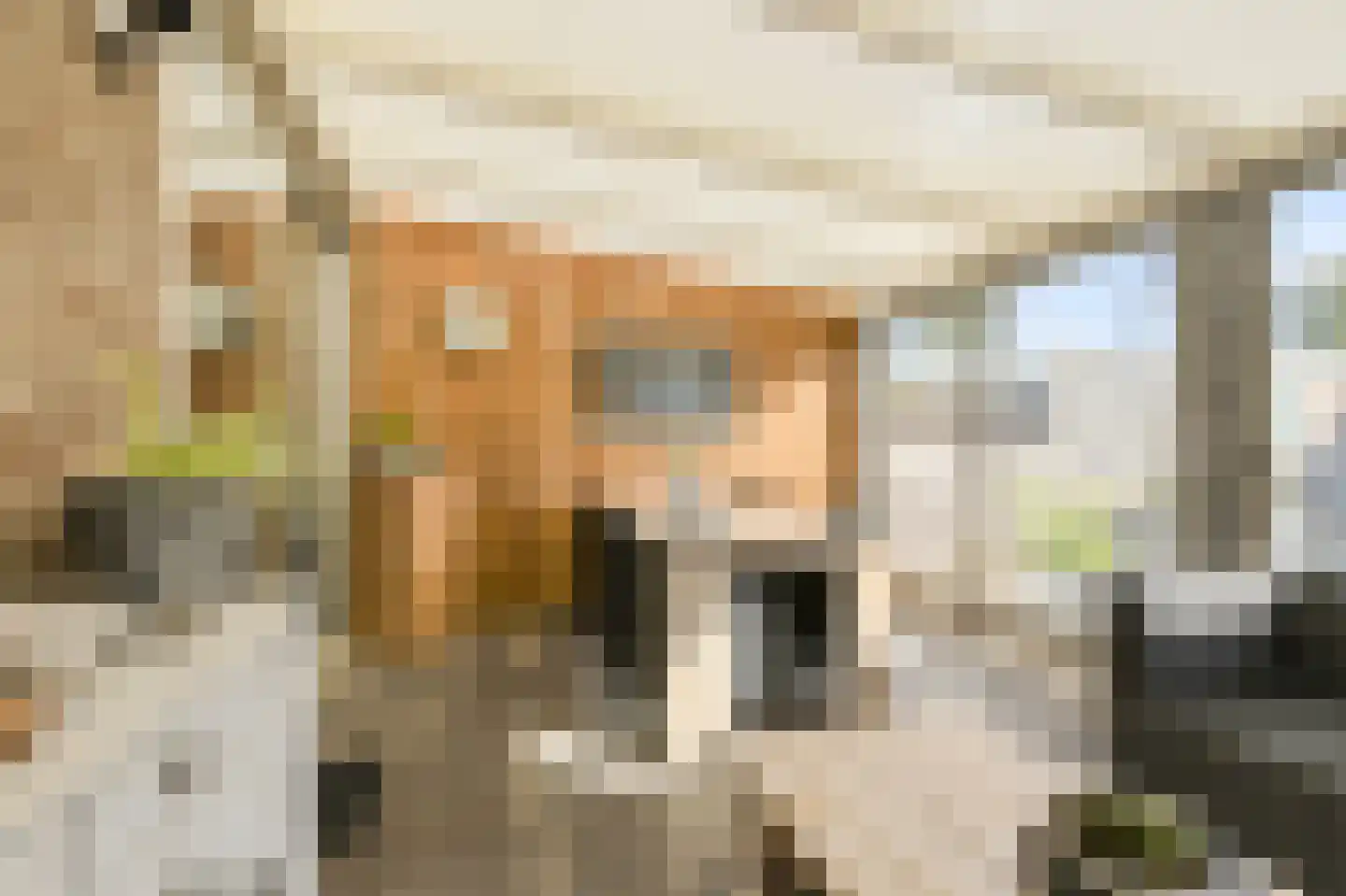 Gageldonk 5 Oosterhout thumbnail 32