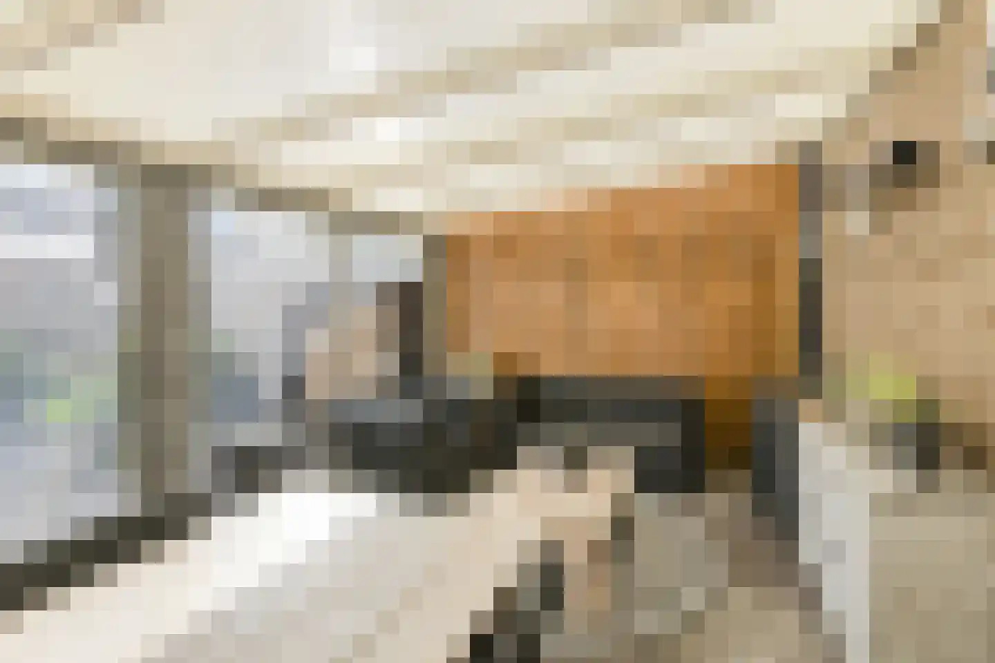 Gageldonk 5 Oosterhout thumbnail 33