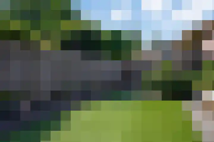 Gageldonk 67 's-Hertogenbosch thumbnail 17
