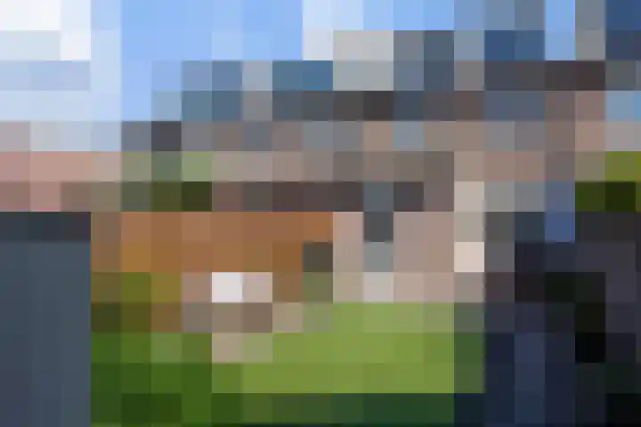 Gageldonk 67 's-Hertogenbosch thumbnail 18