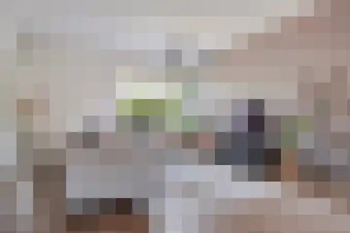 Gageldonk 67 's-Hertogenbosch thumbnail 4