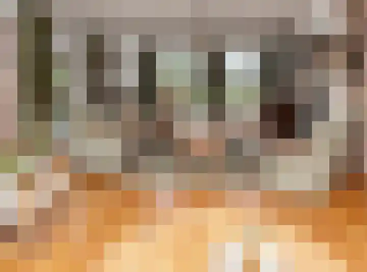 Gageldonkseweg 10 BIS Breda thumbnail 11