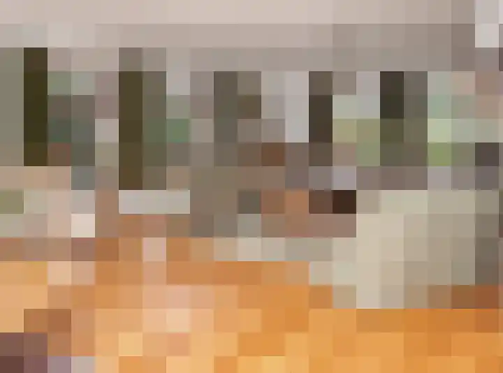 Gageldonkseweg 10 BIS Breda thumbnail 12