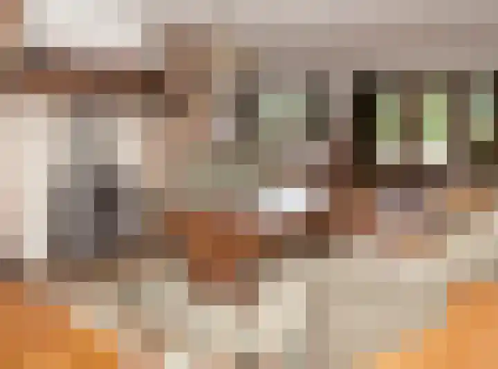 Gageldonkseweg 10 BIS Breda thumbnail 14