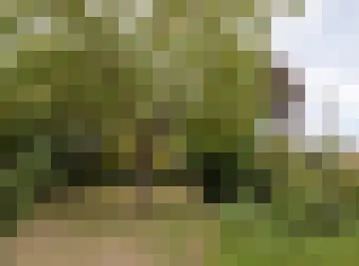 Gageldonkseweg 10 BIS Breda thumbnail 49