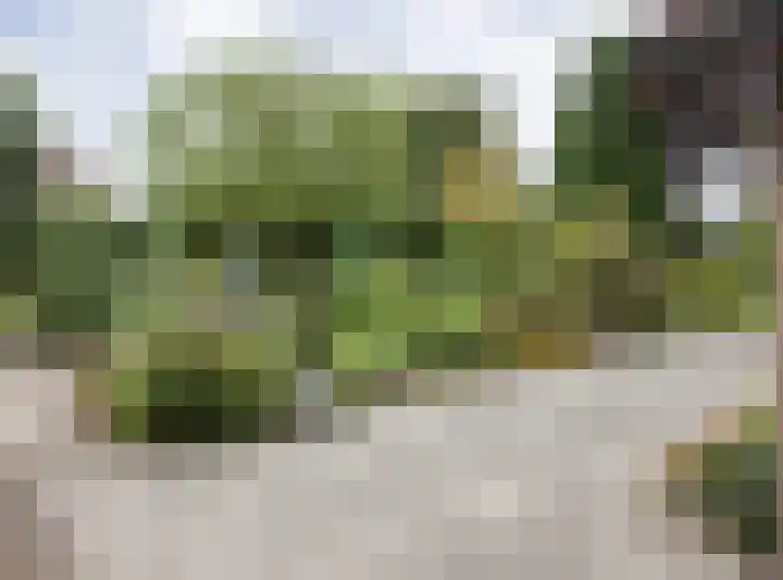 Gageldonkseweg 10 BIS Breda thumbnail 50