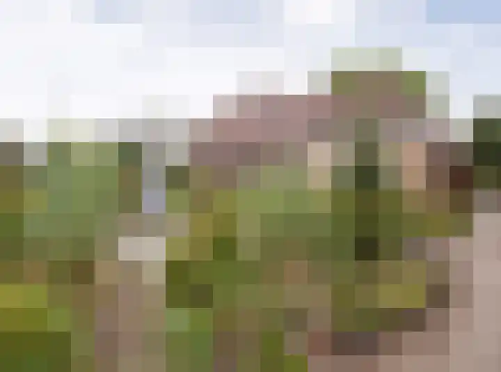 Gageldonkseweg 10 BIS Breda thumbnail 51
