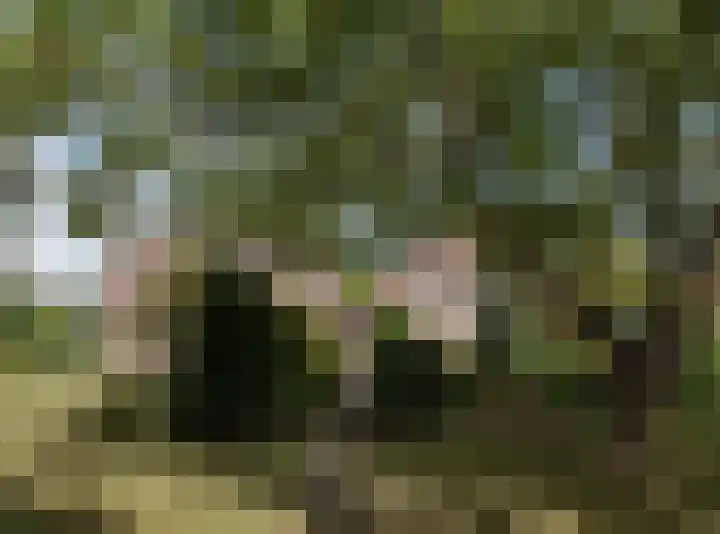 Gageldonkseweg 10 BIS Breda thumbnail 57