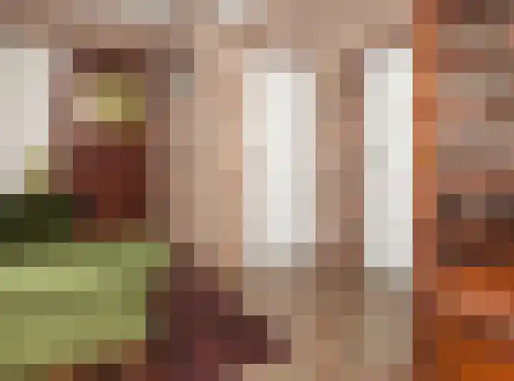 Gageldonkseweg 10 BIS Breda thumbnail 8