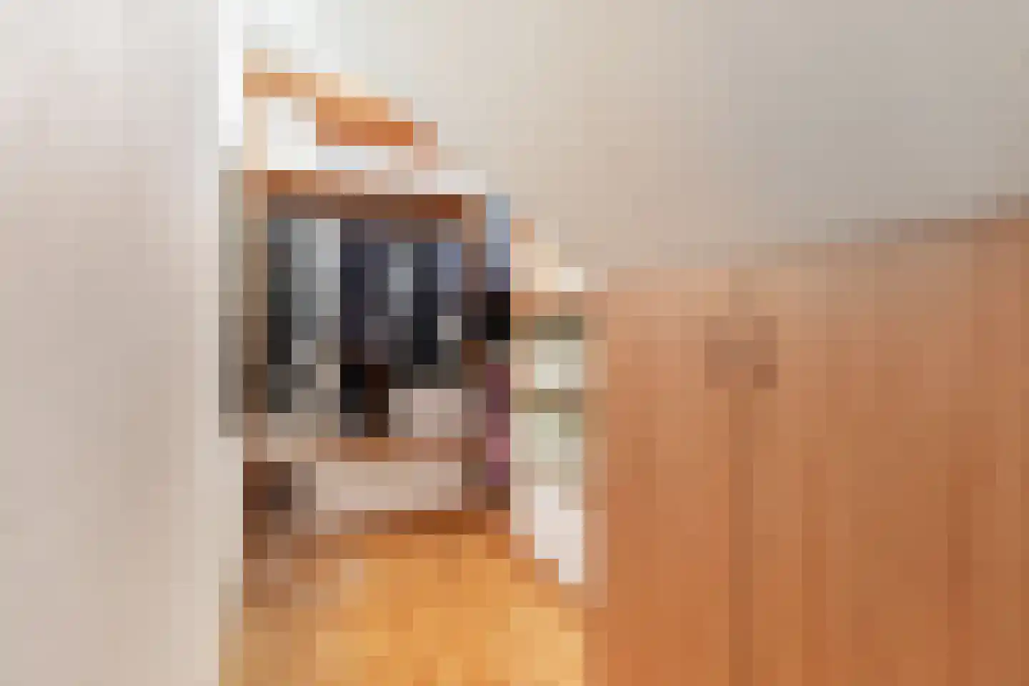 Gageldonkseweg 11 Breda thumbnail 24