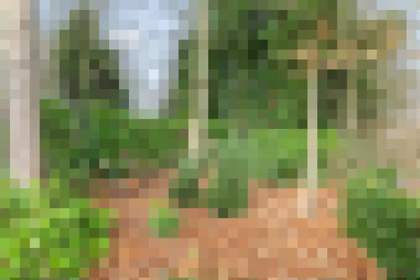 Gageldonkseweg 11 Breda thumbnail 32