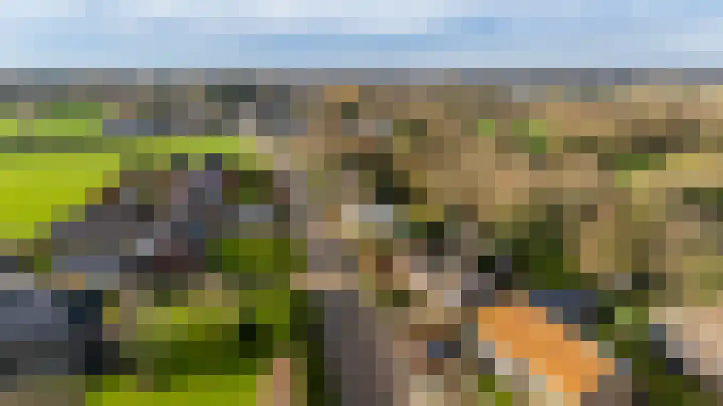 Gageldonkseweg 11 Breda thumbnail 37