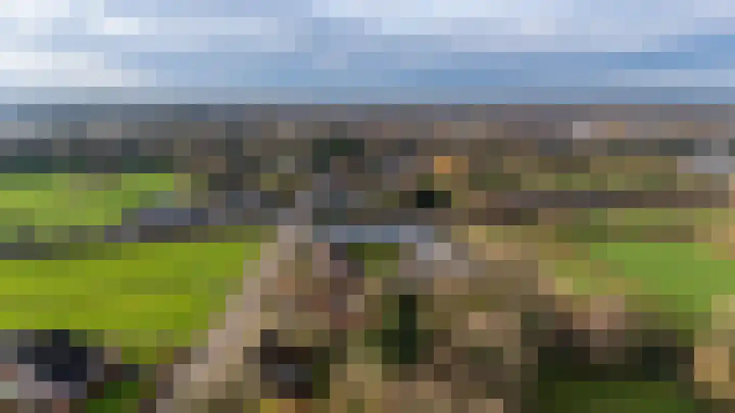 Gageldonkseweg 11 Breda thumbnail 40