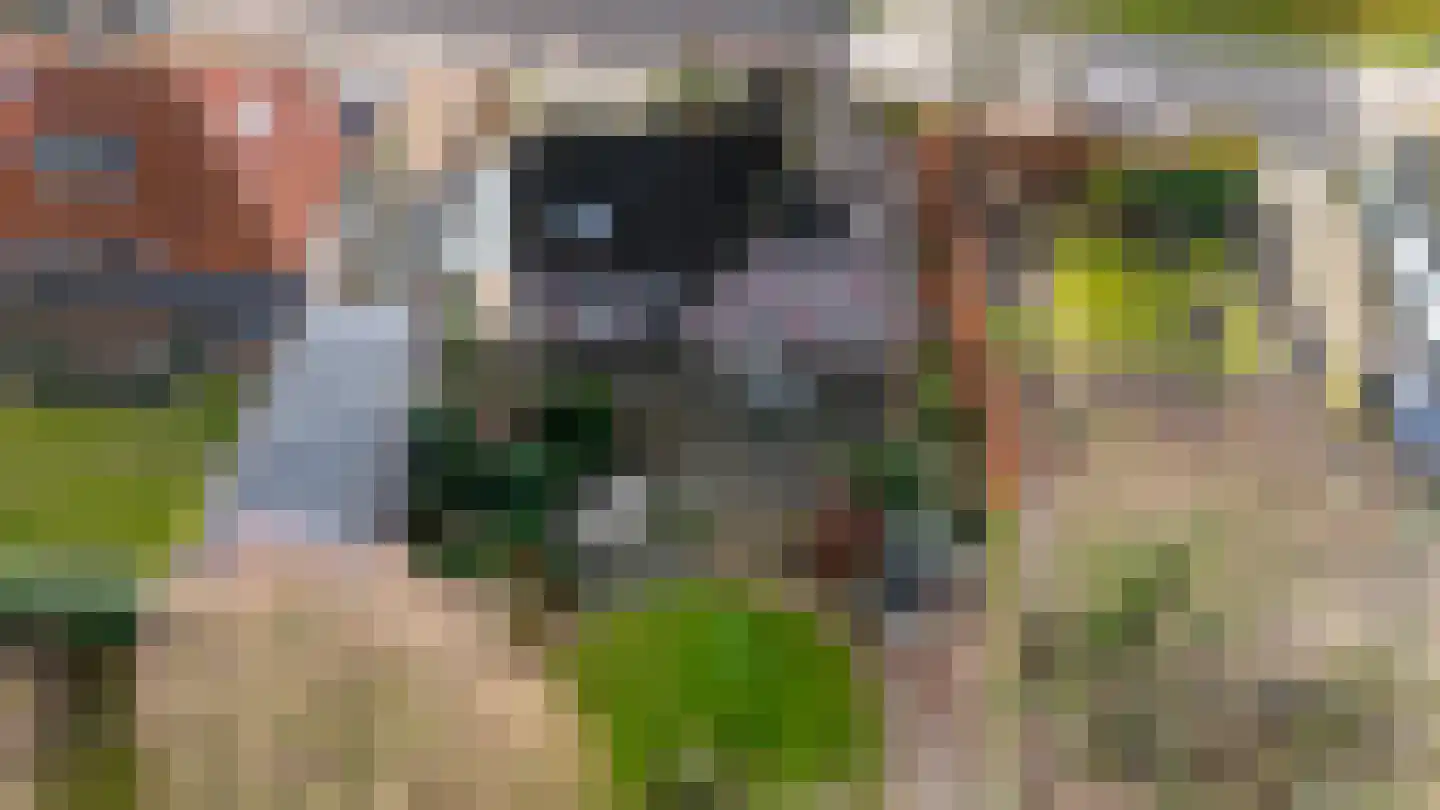 Gageldonkseweg 11 Breda thumbnail 41
