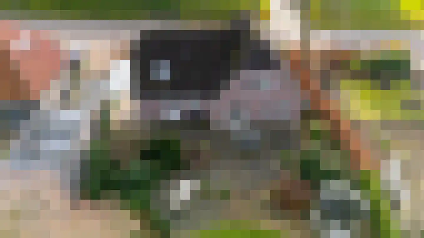 Gageldonkseweg 11 Breda thumbnail 42