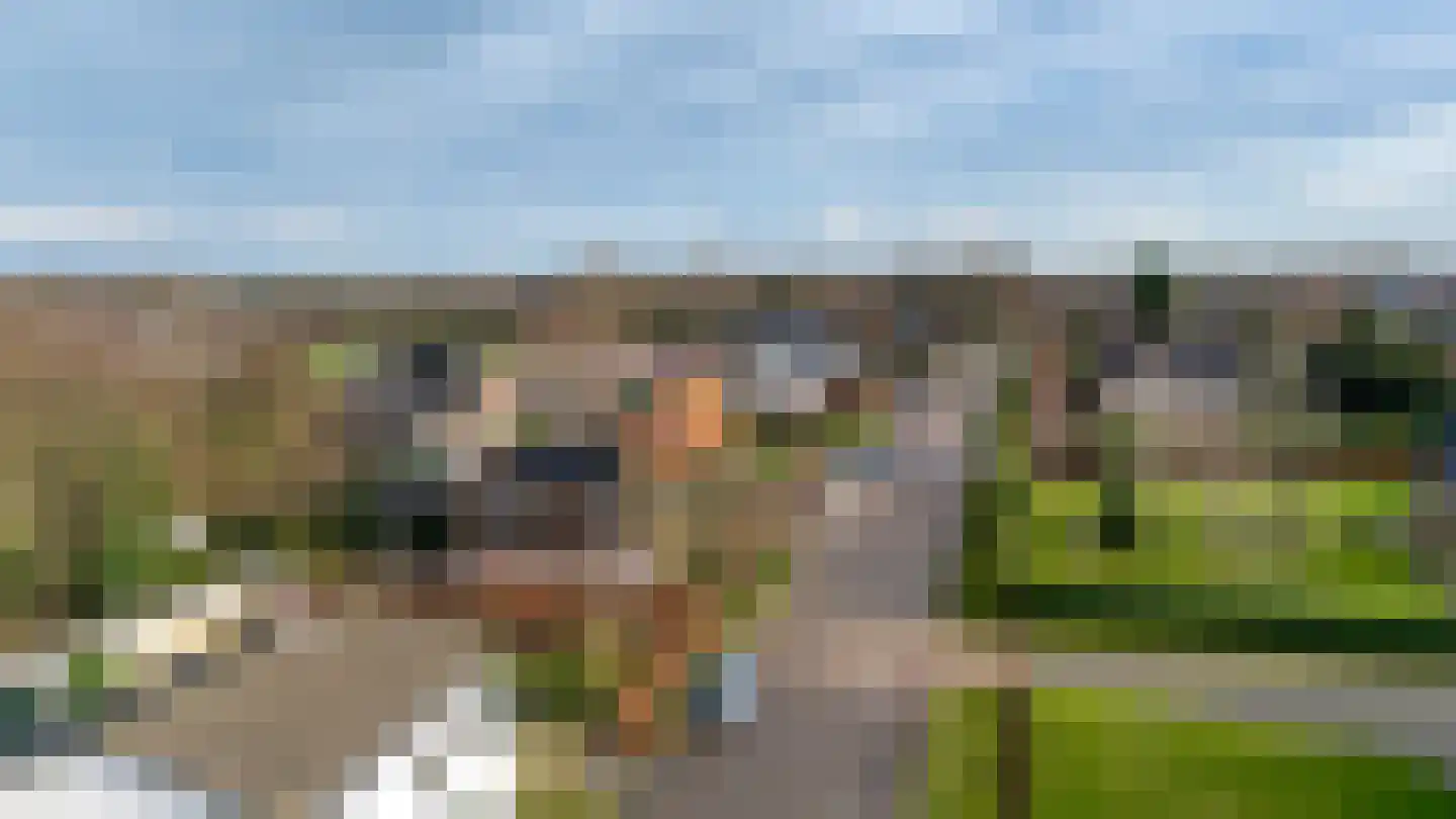 Gageldonkseweg 11 Breda thumbnail 45