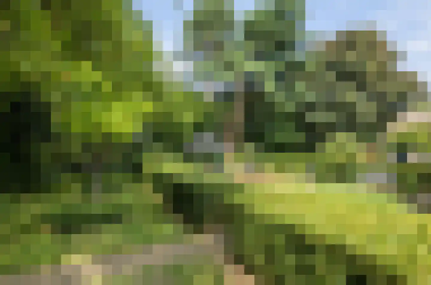 Gageldonkseweg 5 Breda thumbnail 14