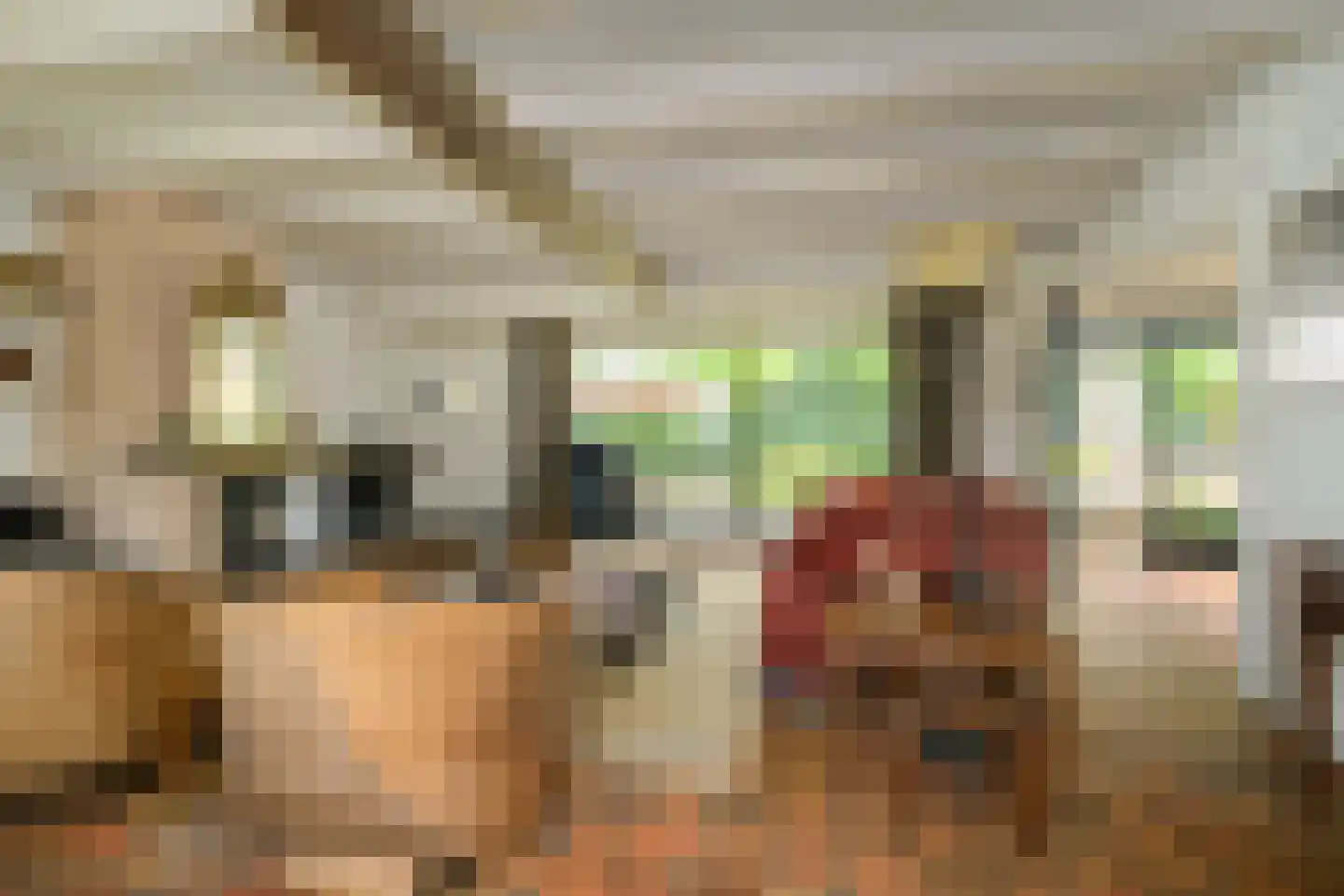 Gageldonkseweg 5 Breda thumbnail 19