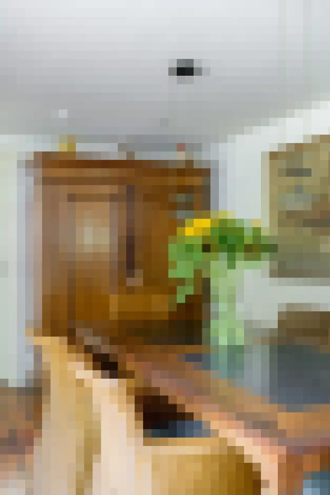 Gageldonkseweg 5 Breda thumbnail 24