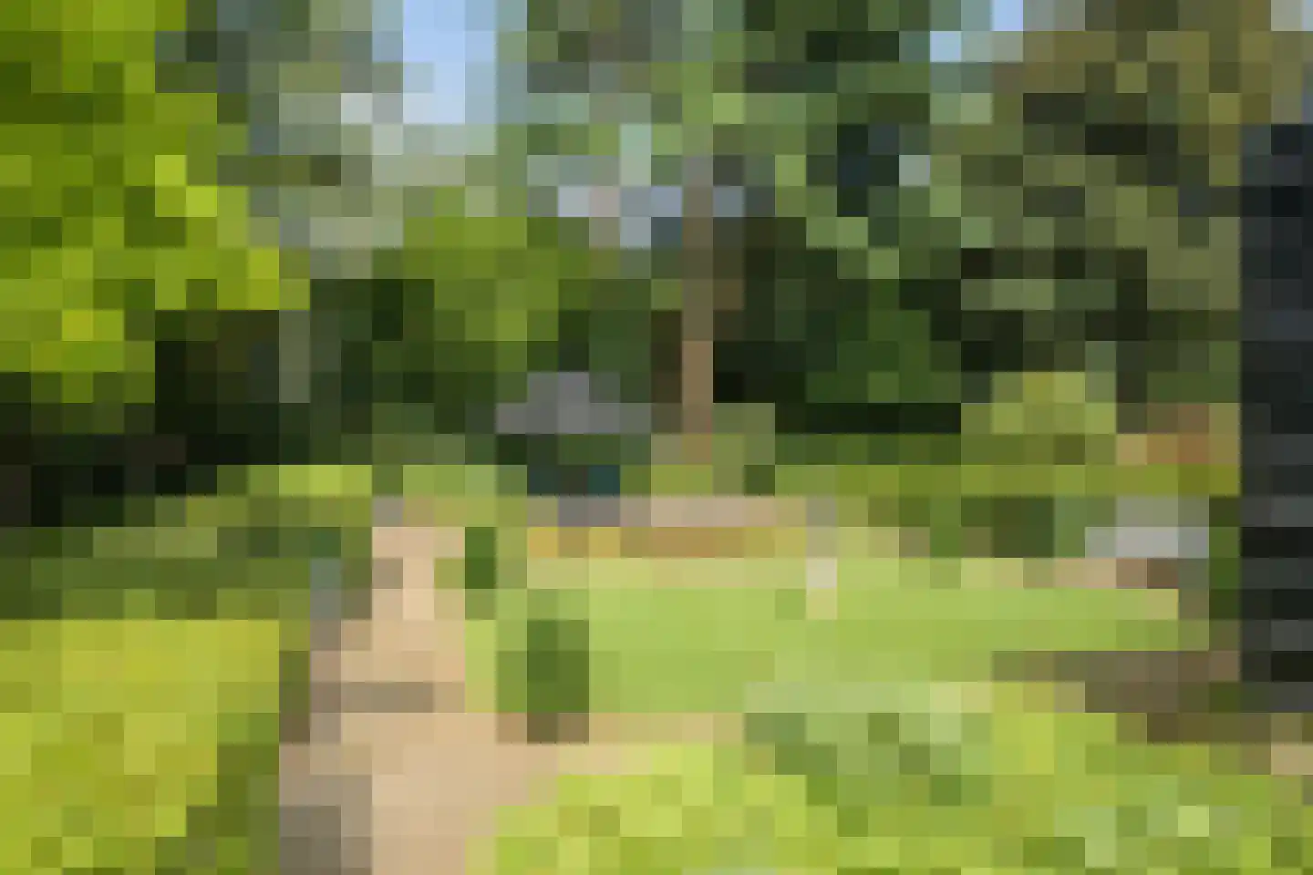 Gageldonkseweg 5 Breda thumbnail 49