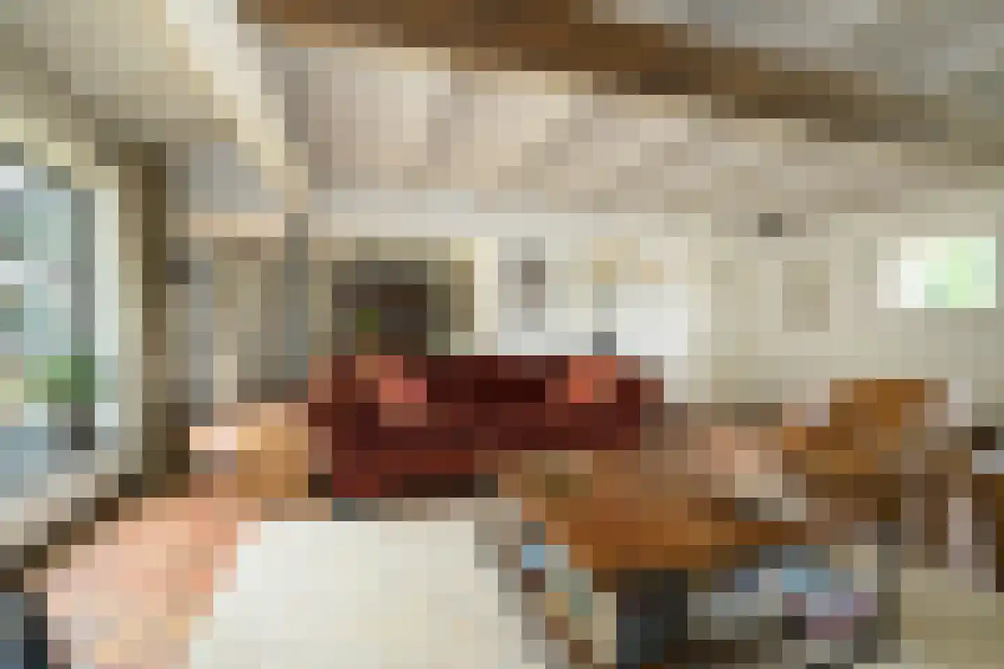 Gageldonkseweg 5 Breda thumbnail 5