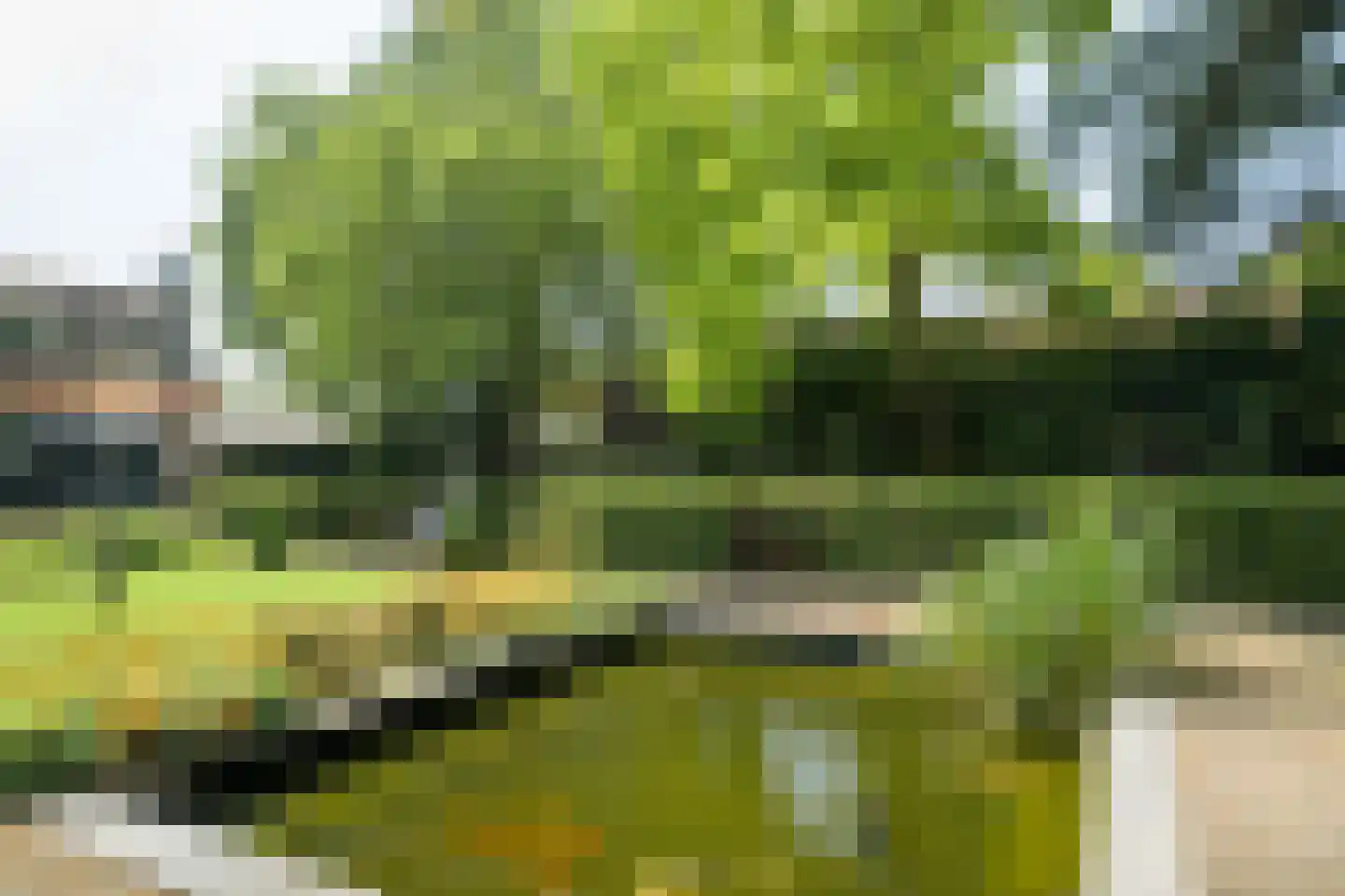 Gageldonkseweg 5 Breda thumbnail 52