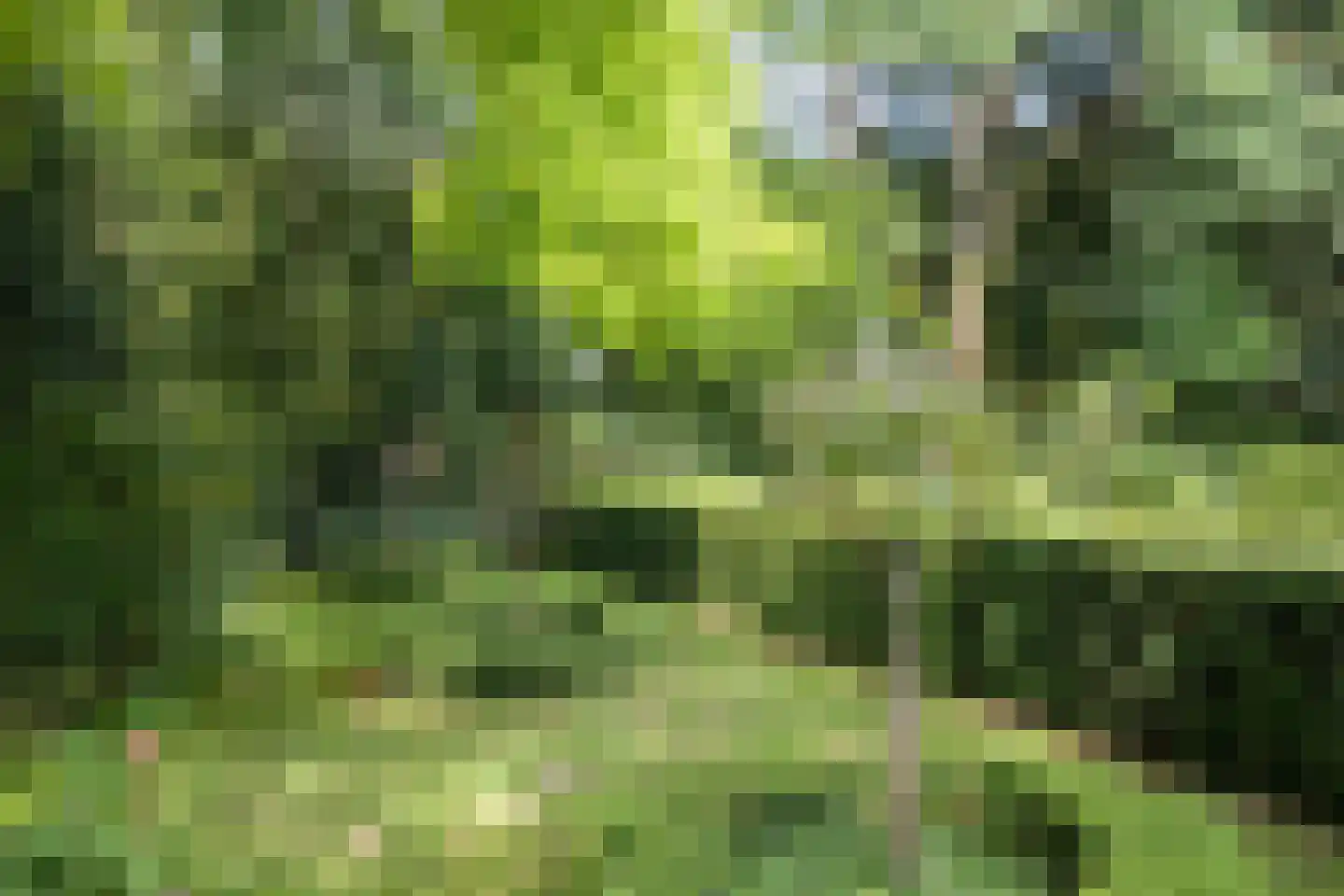 Gageldonkseweg 5 Breda thumbnail 55