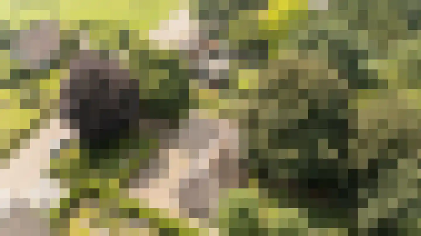 Gageldonkseweg 5 Breda thumbnail 61