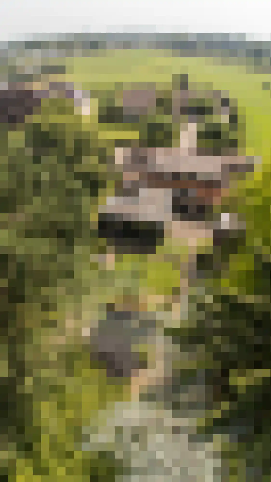 Gageldonkseweg 5 Breda thumbnail 62
