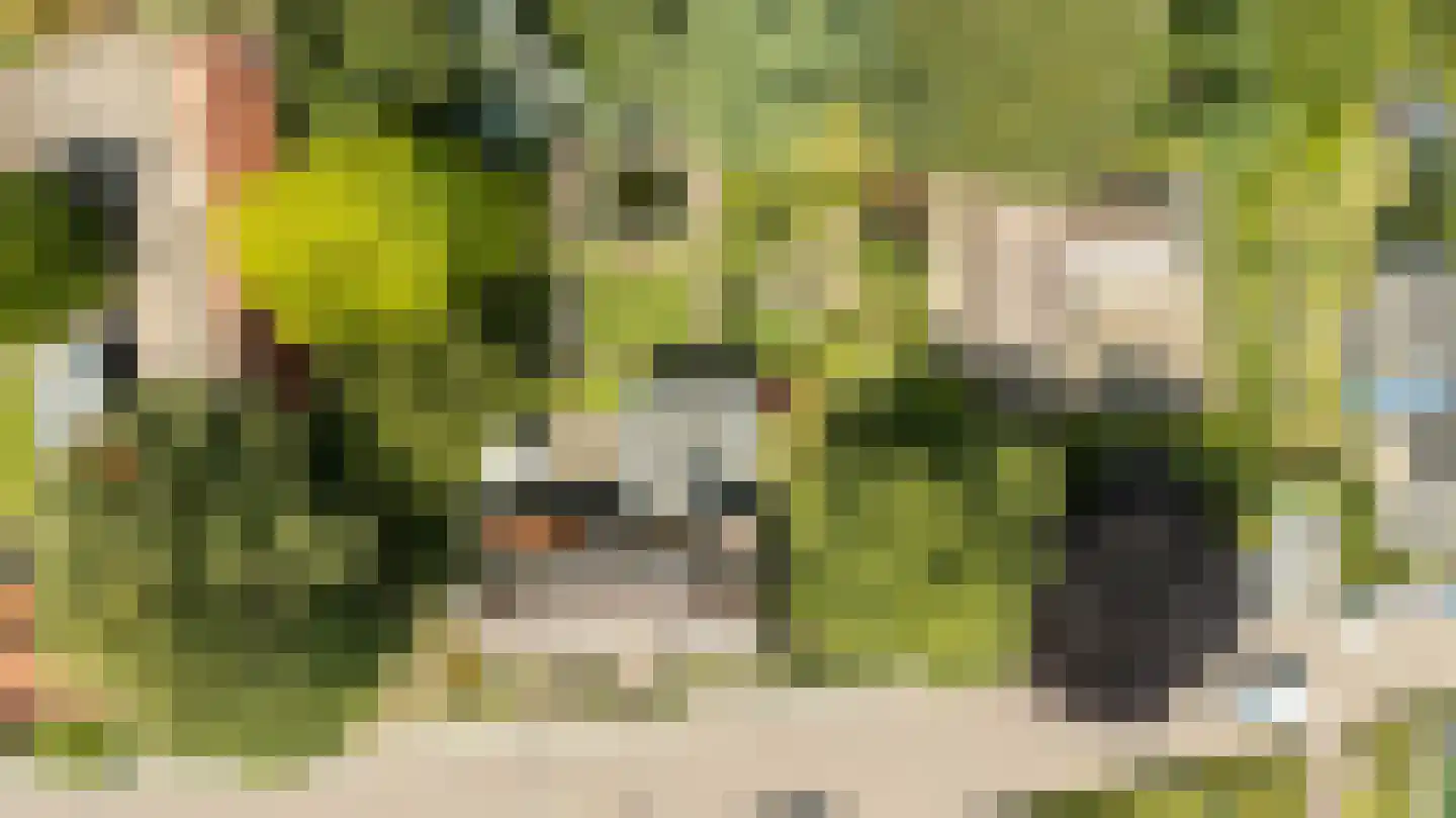 Gageldonkseweg 5 Breda thumbnail 63
