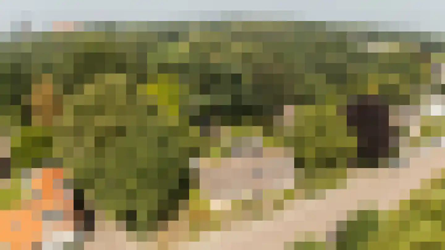 Gageldonkseweg 5 Breda thumbnail 64