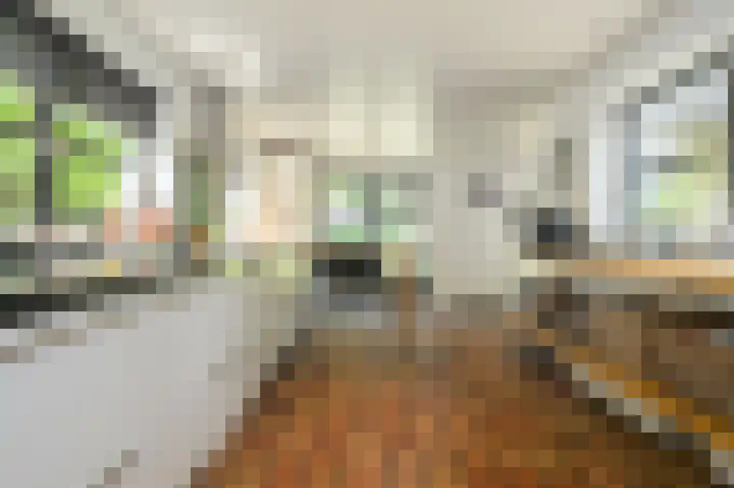 Gageldonkseweg 5 Breda thumbnail 8