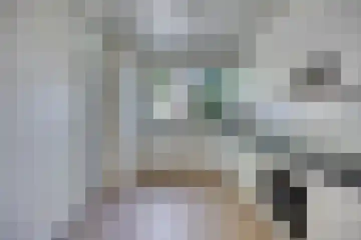 Gagelhof 11 Vroomshoop thumbnail 10