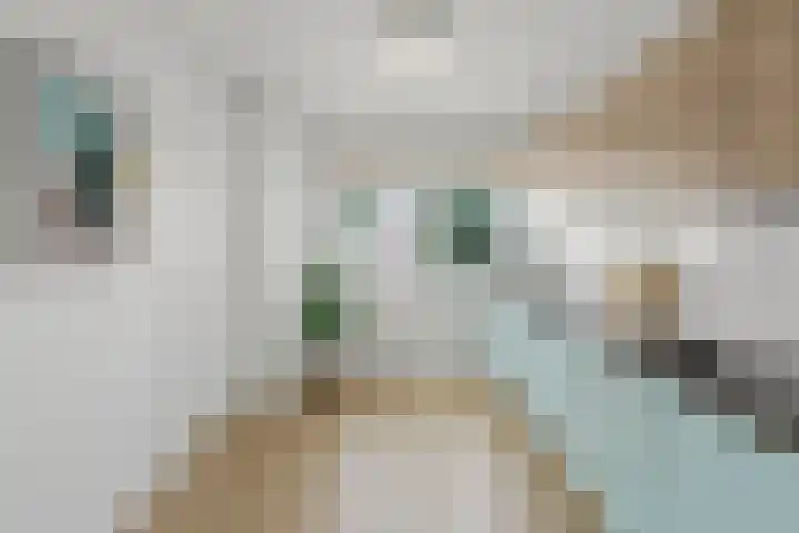 Gagelhof 11 Vroomshoop thumbnail 11