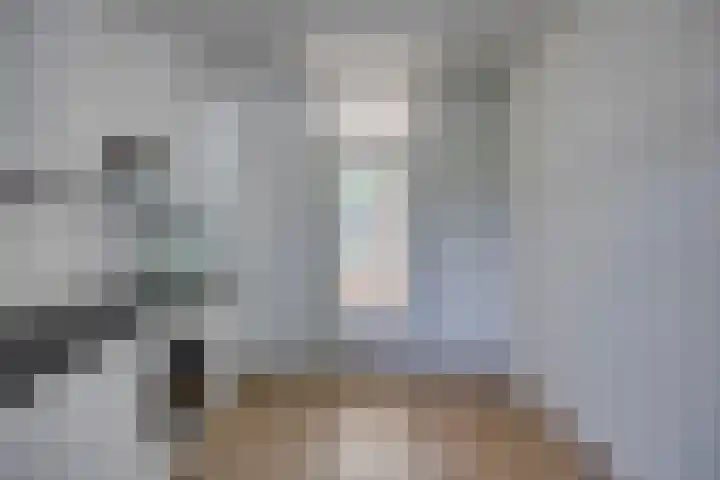 Gagelhof 11 Vroomshoop thumbnail 12