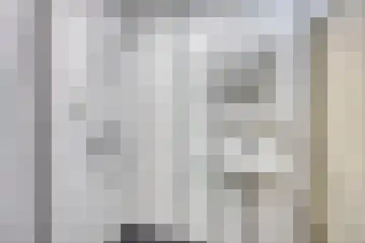 Gagelhof 11 Vroomshoop thumbnail 15