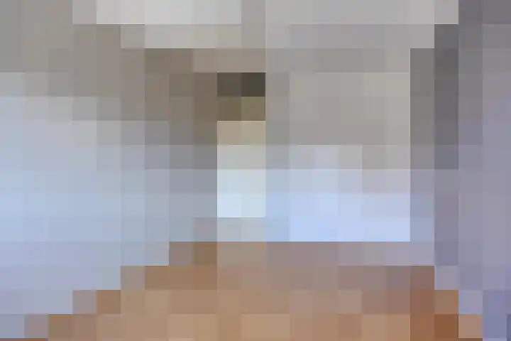 Gagelhof 11 Vroomshoop thumbnail 18