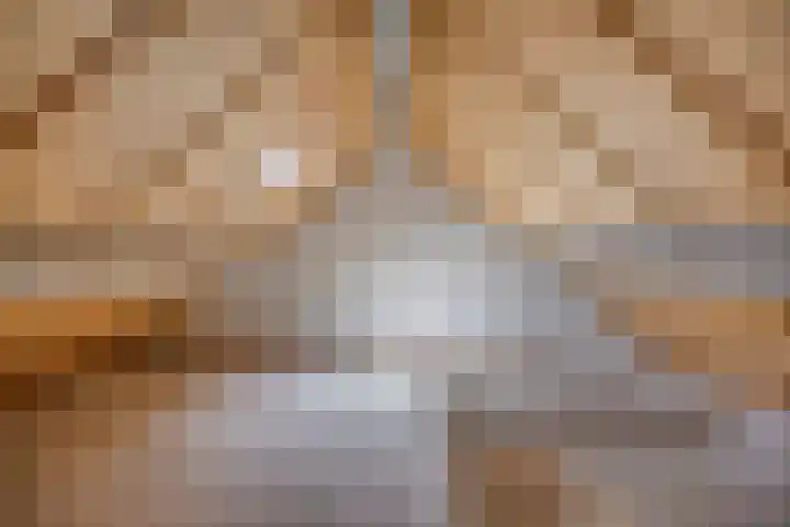 Gagelhof 11 Vroomshoop thumbnail 19