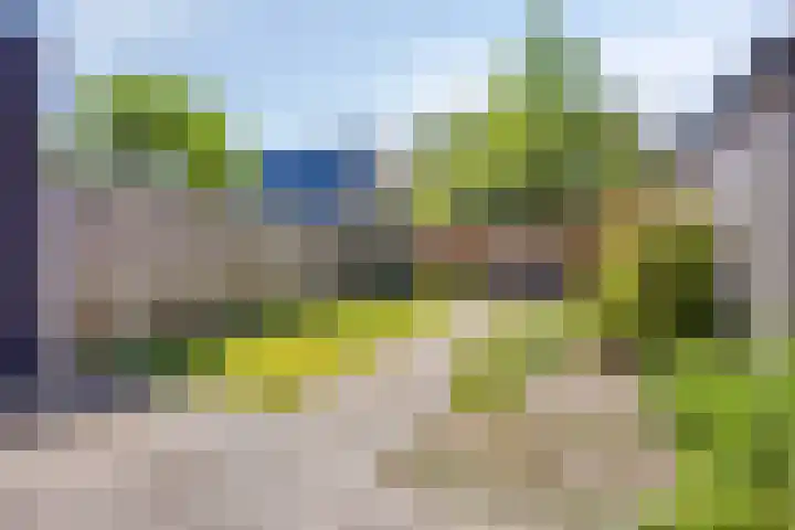 Gagelhof 11 Vroomshoop thumbnail 21