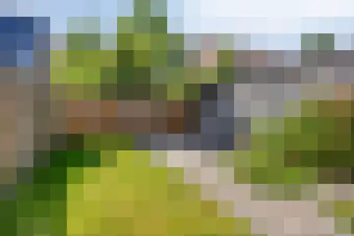 Gagelhof 11 Vroomshoop thumbnail 22