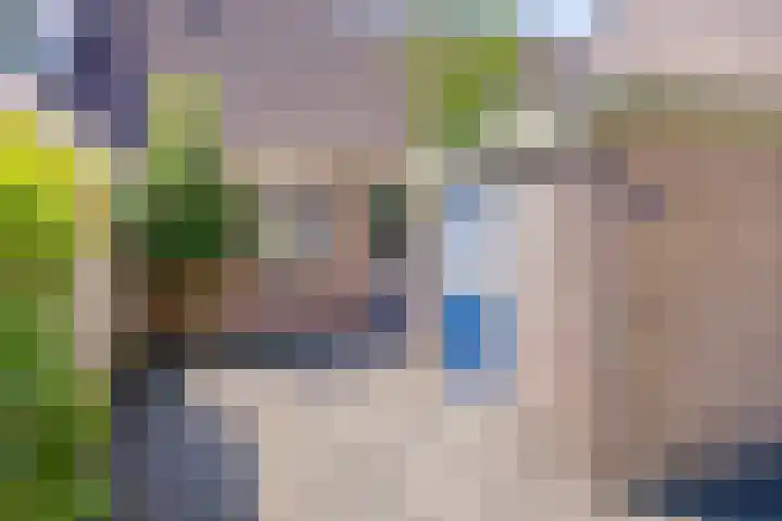 Gagelhof 11 Vroomshoop thumbnail 23