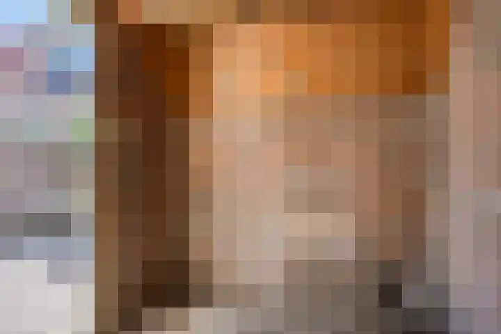 Gagelhof 11 Vroomshoop thumbnail 24